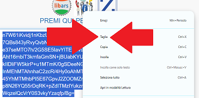 pagina web
